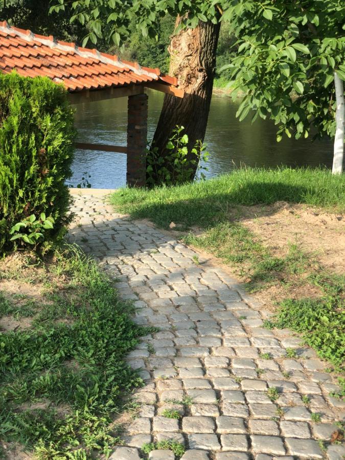 Apartmani Morava 54 Kocino Selo Extérieur photo