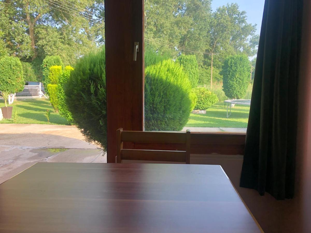 Apartmani Morava 54 Kocino Selo Extérieur photo